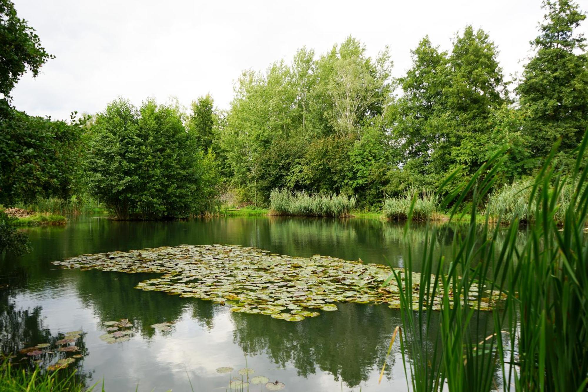 Slube An Den Teichen Hoher Flaeming Rottstock Buitenkant foto